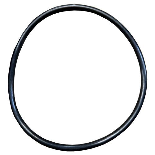 Housing O-Ring