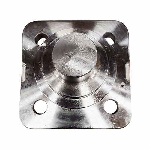 Lower King Pin