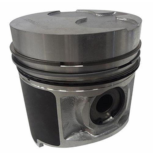 Piston & Rings
