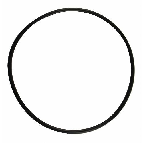 IPTO Bearing Cage O-Ring