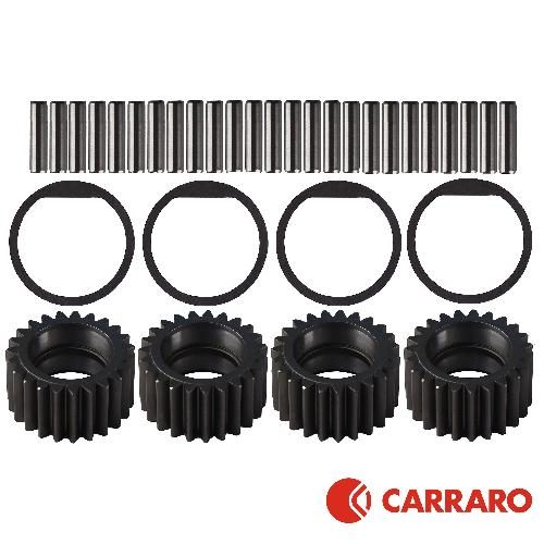 8302380_1_xl.jpg Carraro Planetary Hub Kit, MFD
