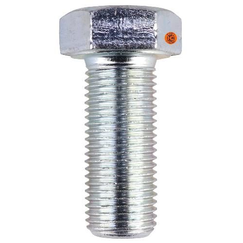 Cap Screw
