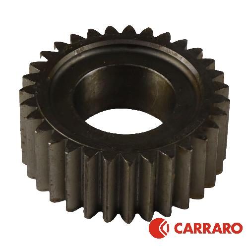 ha133742715_1_xl.jpg Carraro Planetary Sun Gear, MFD