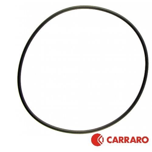 ha84262831_1_xl.jpg Carraro Planetary O-Ring, MFD