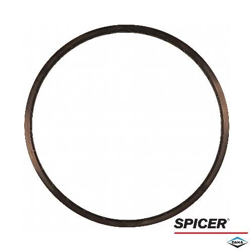 ha87390352_1_xl.jpg Dana/Spicer Hub V-Ring, MFD, 12 Bolt Hub