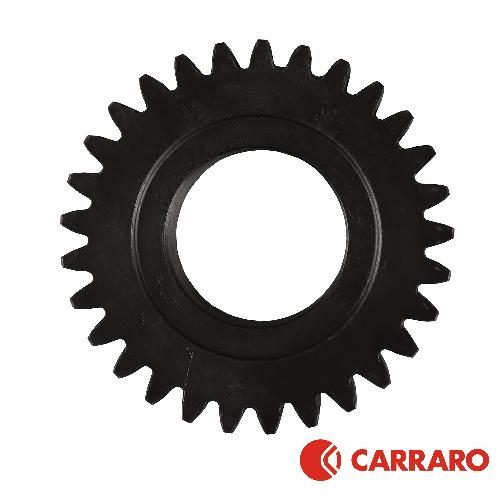 han13513_1_xl.jpg Carraro Planetary Gear, MFD