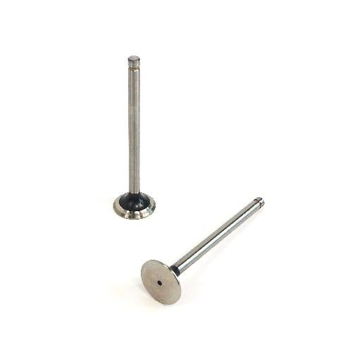 Exhaust Valve