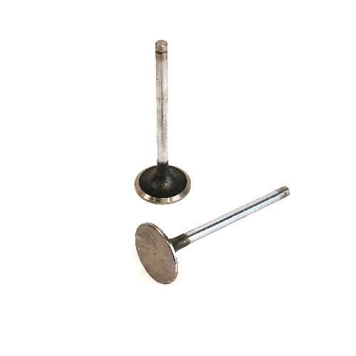 Intake Valve