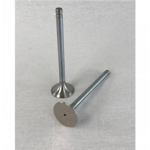 Exhaust Valve