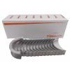 Main Bearing Set, Standard