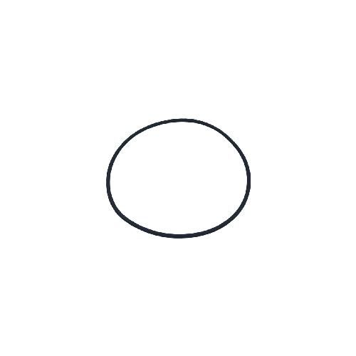 Cylinder Liner O-Ring - Color Black