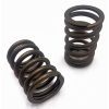 Valve Spring