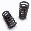 Valve Spring