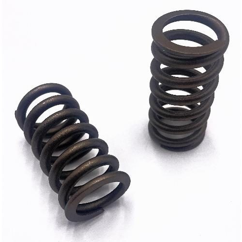 Valve Spring