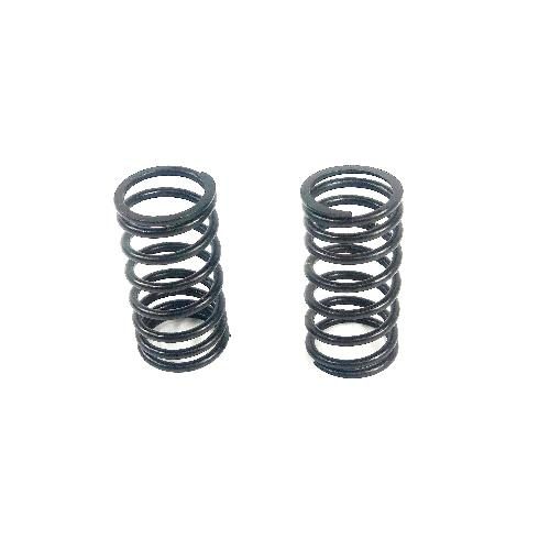 Inner Valve Spring