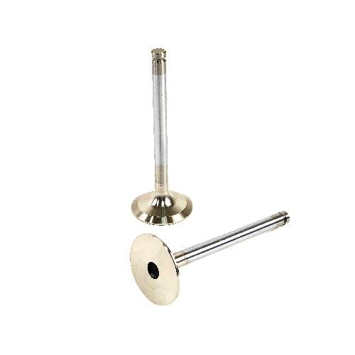 Intake Valve