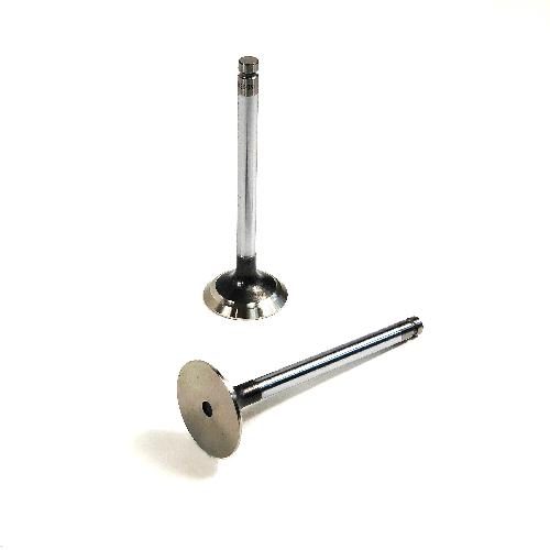 Intake Valve