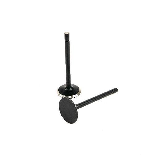 Intake Valve