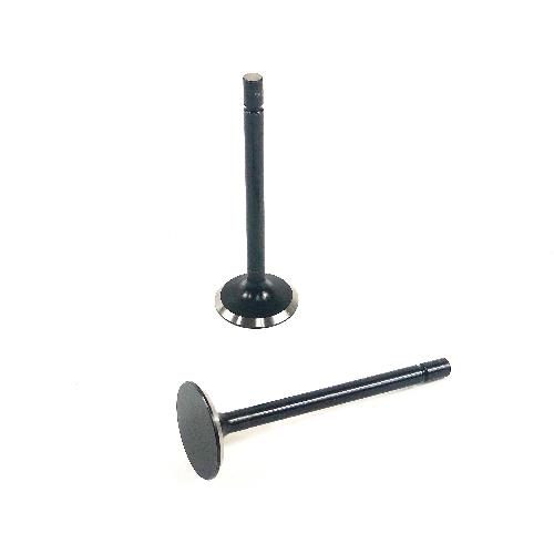 Exhaust Valve