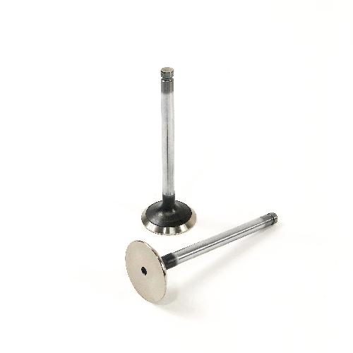 Exhaust Valve