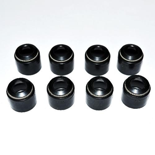Valve Seal
