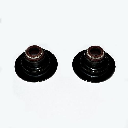 Exhaust Valve Stem Seal