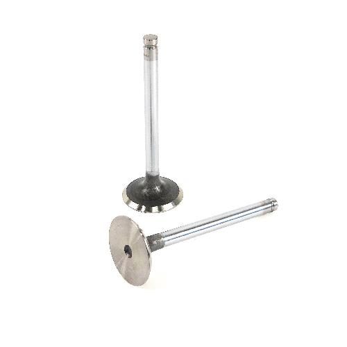 Intake Valve