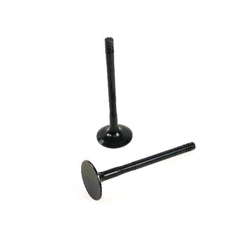 Exhaust Valve