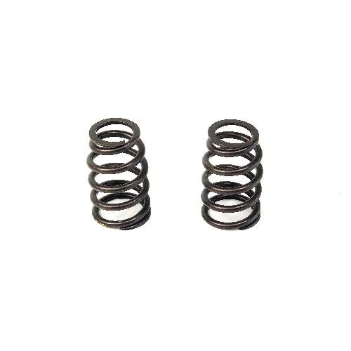Valve Spring