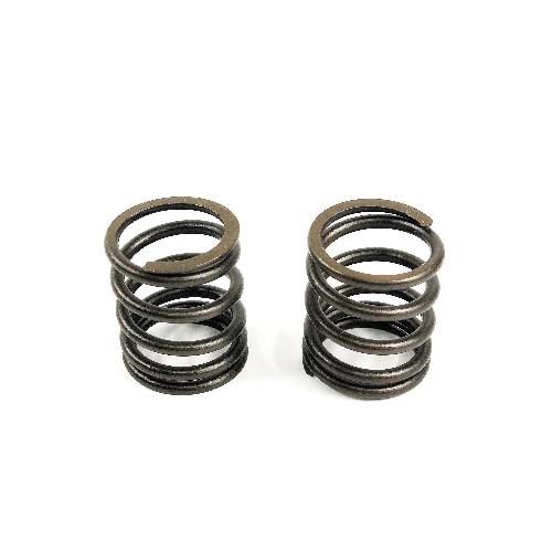 Outer Valve Spring