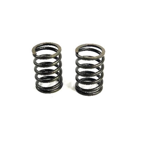 Inner Valve Spring