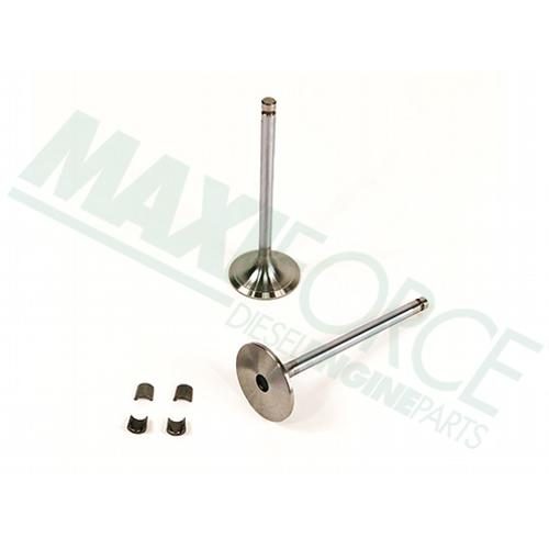 Intake Valve Kit