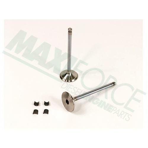 hcc3802356_1_xl.jpg Exhaust Valve Kit