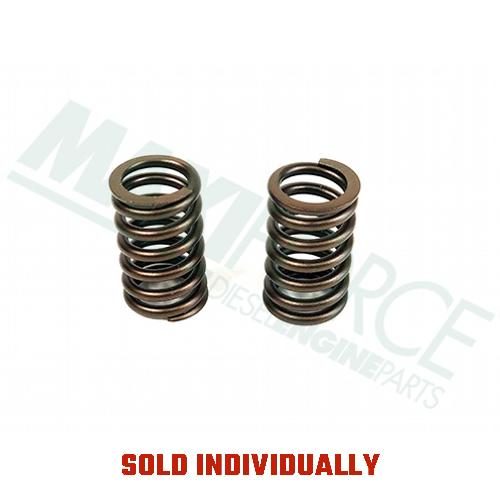Valve Spring
