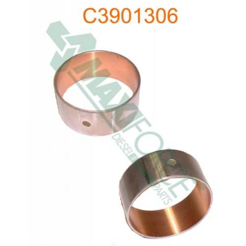 Cam Bearing