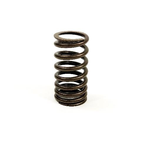 Valve Spring