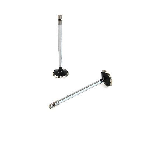 Exhaust Valve