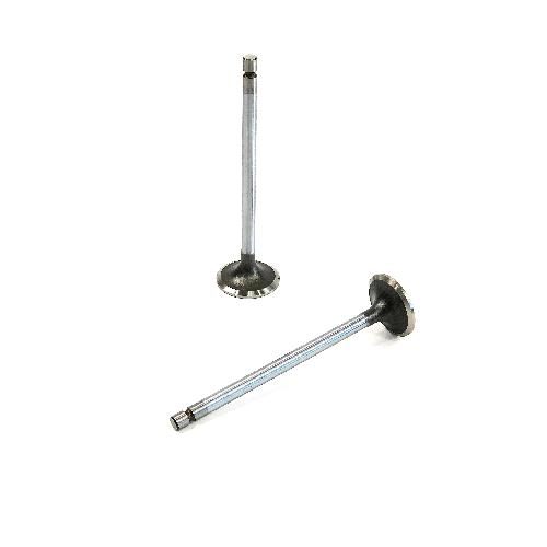 Intake Valve
