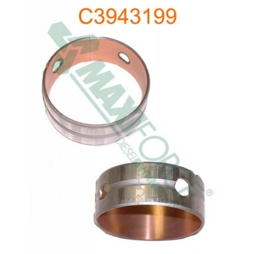 Cam Bearing