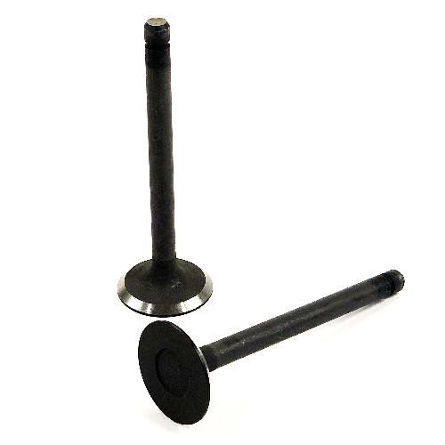 Intake Valve
