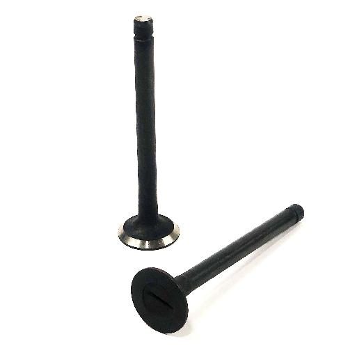 Exhaust Valve