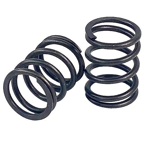 Valve Spring