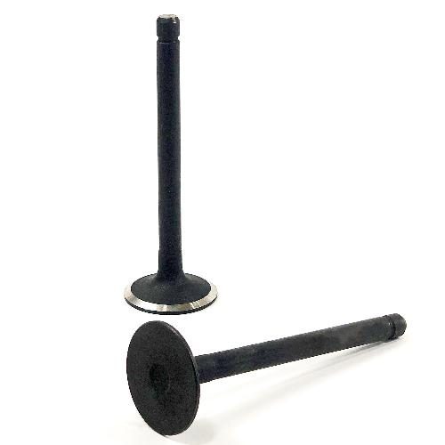 Intake Valve