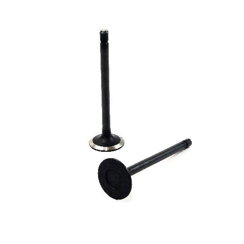 Intake Valve