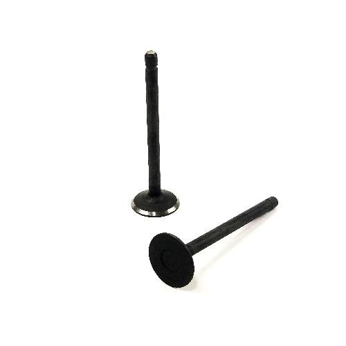 Exhaust Valve