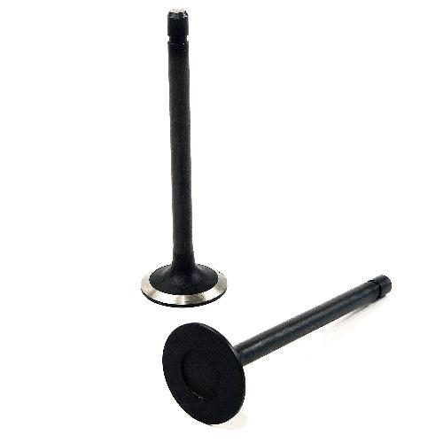 Intake Valve