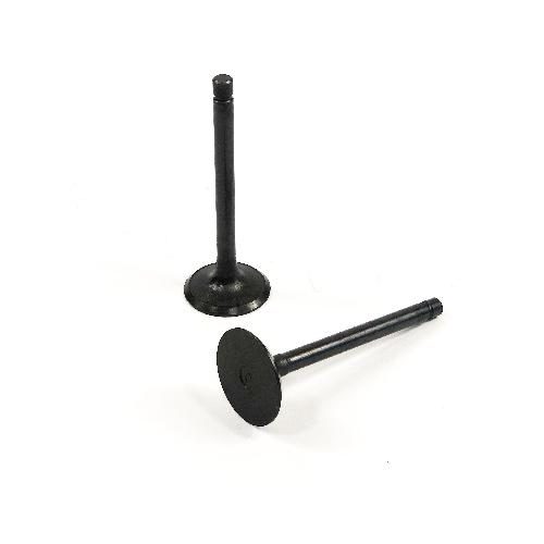 Inlet Valve