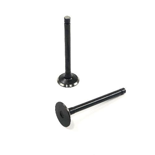 Exhaust Valve
