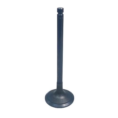 Intake Valve