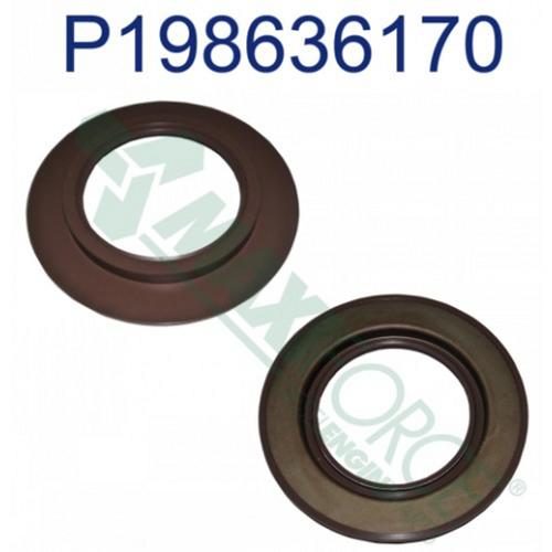Rear Crankshaft Seal